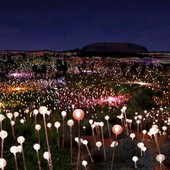 'Field of Light', Bruce Munro (1959)