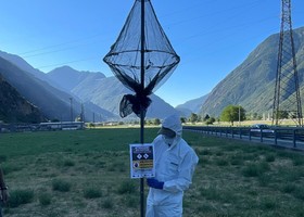 Scarabeo giapponese, completata l'installazione delle 188 trappole 'Attract & Kill' Scarabeo giapponese, completata l'installazione delle 188 trappole 'Attract & Kill'