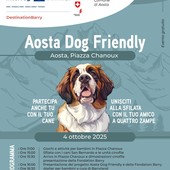 Aosta Dog Friendly, cani protagonisti in piazza Chanoux