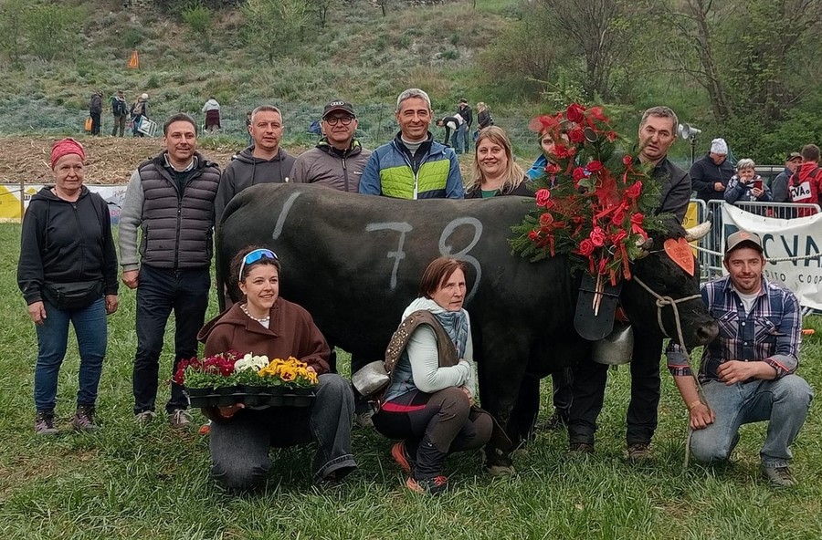 Pazzeska, Reina di primo peso