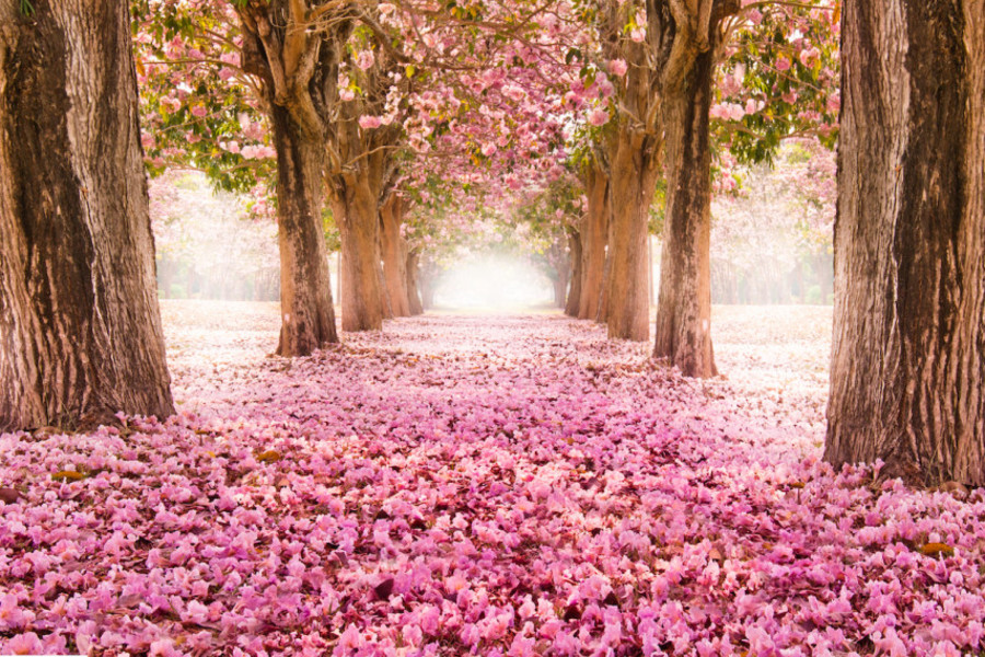 E' tornata primavera, siamo pronti al risveglio?