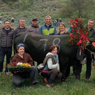 Pazzeska, Reina di primo peso