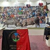Gli Amis des Batailles de Reines alla Foire de Saint-Ours