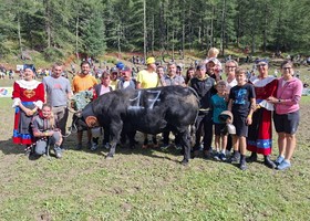 Batailles de Reines, a Cervinia Tiky domina su 84 bovine in gara Batailles de Reines, a Cervinia Tiky domina su 84 bovine in gara