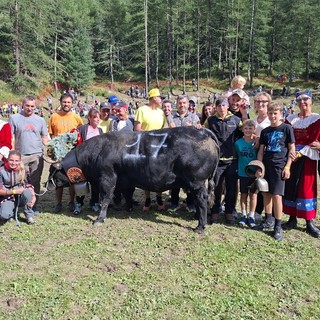 Batailles de Reines, a Cervinia Tiky domina su 84 bovine in gara