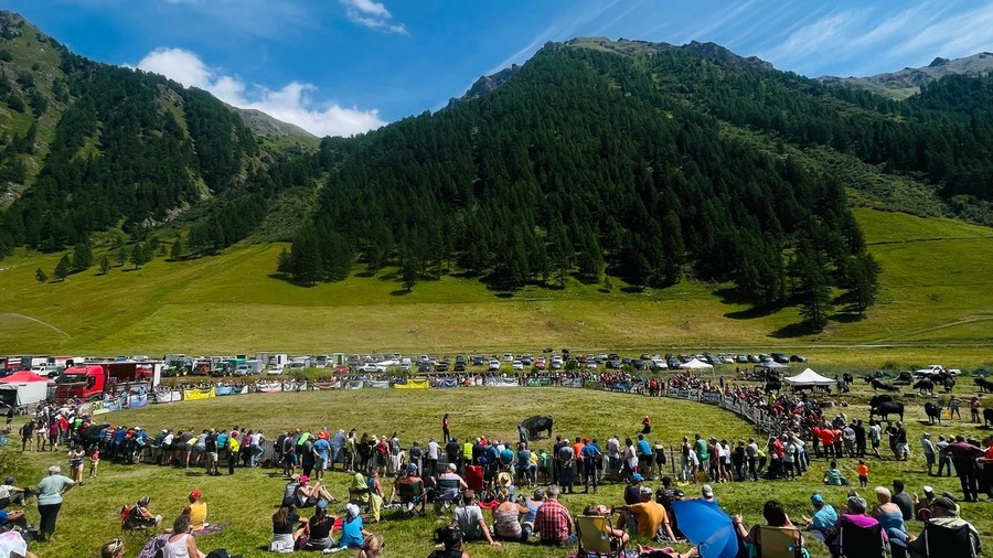 4 agosto 2024, sfide a Vertosan per il 67esimo Concours Régional