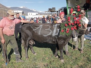 Volga, regina di secondo peso