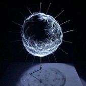 'Watage', 2017- Euglena