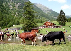 Nuovi incentivi regionali per accorpare i terreni agricoli