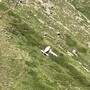 L'ultraleggero caduto vicino al rifugio Frassati L'ultraleggero caduto vicino al rifugio Frassati