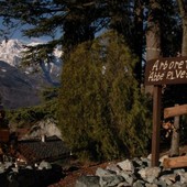 Domenica riapre al pubblico l'Arboretum 'Vescoz' a Verrayes