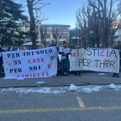 Attivisti Anpav in presidio di fronte al tribunale di Aosta