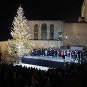 Acceso ad Assisi l'albero di Natale donato dalla Valle d'Aosta