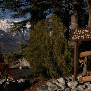 Domenica riapre al pubblico l'Arboretum 'Vescoz' a Verrayes