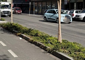 Aosta, in Consiglio comunale confronto sulla gestione delle aiuole cittadine Aosta, in Consiglio comunale confronto sulla gestione delle aiuole cittadine