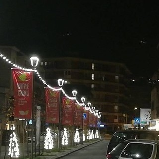 Confcommercio sostiene le luminarie di viale Conte Crotti, 'un impegno per tutta la città'