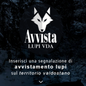 E' nata l'app 'Avvista Lupi VdA' per segnalarne la presenza E' nata l'app 'Avvista Lupi VdA' per segnalarne la presenza