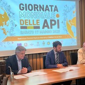 Da sn Camillo Dujany, Marco Carrel e Gabriele Scattolin