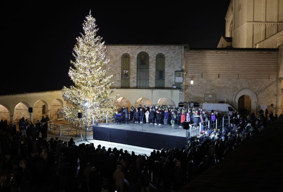 Acceso ad Assisi l'albero di Natale donato dalla Valle d'Aosta