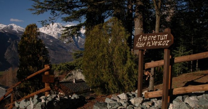Domenica riapre al pubblico l'Arboretum 'Vescoz' a Verrayes
