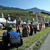 In corso la Campagna 2024 per buoni carburanti agricoli