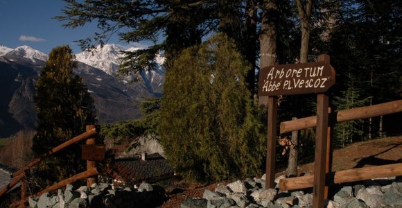 Domenica riapre al pubblico l'Arboretum 'Vescoz' a Verrayes