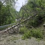 Valgrisenche, caduti alberi sulla strada regionale