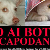 Diciamo No ai botti di Capodanno pericolosi per tutti