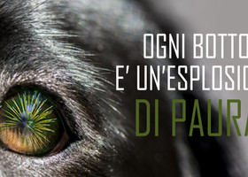 Capodanno e l’altra faccia dei festeggiamenti