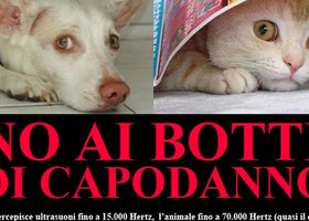 Capodanno ad Aosta, vietati da domenica botti e fuochi d’artificio