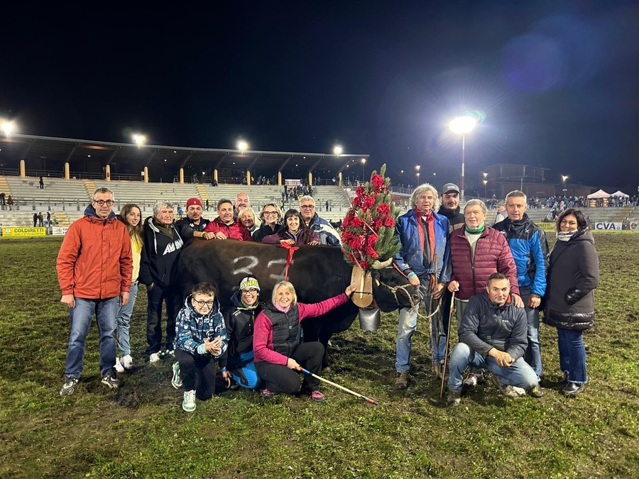 Batailles de Reines, Bijou regina 2026 e Farchetta è nella storia con la quinta vittoria consecutiva Batailles de Reines, Bijou regina 2026 e Farchetta è nella storia con la quinta vittoria consecutiva