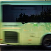 'Zingari in massa alle porte di Aosta!'; l’allarme corre sui social, ma era un pullman di turisti bulgari rimasto in panne 'Zingari in massa alle porte di Aosta!'; l’allarme corre sui social, ma era un pullman di turisti bulgari rimasto in panne