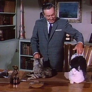 Walt Disney; dal sogno di un bambino al regno della fantasia