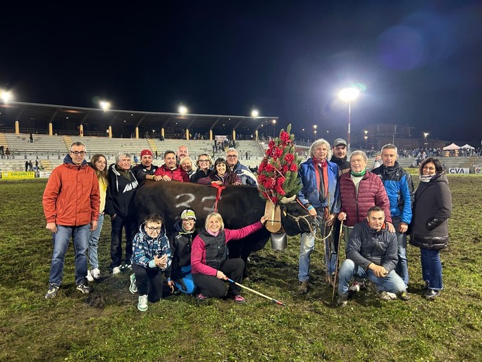Batailles de Reines, Bijou regina 2026 e Farchetta è nella storia con la quinta vittoria consecutiva Batailles de Reines, Bijou regina 2026 e Farchetta è nella storia con la quinta vittoria consecutiva