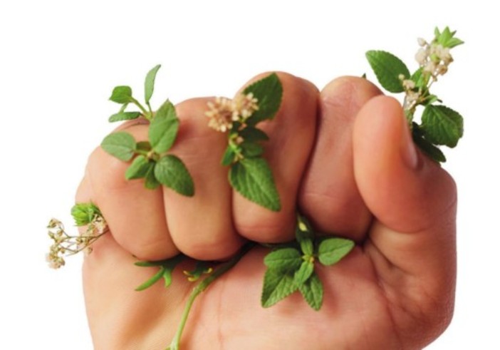 Sostenibilità ancora troppo cara; prezzi, truffe e scarsa informazione frenano i consumatori Sostenibilità ancora troppo cara; prezzi, truffe e scarsa informazione frenano i consumatori