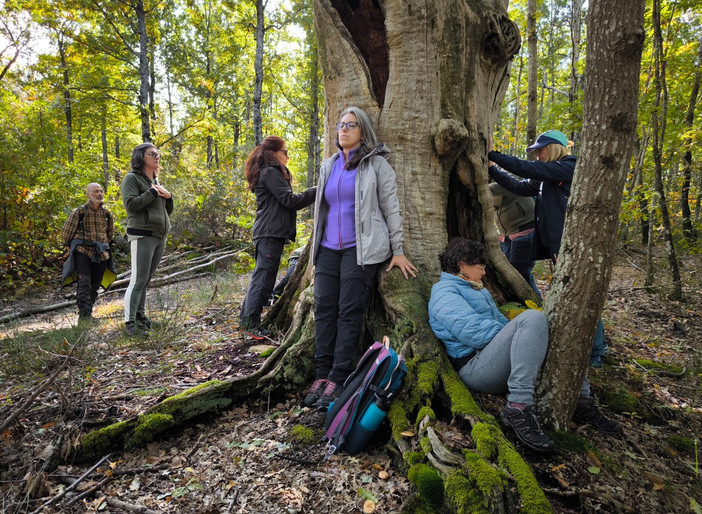 Anche ad Aosta la Giornata nazionale di 'Connessioni Naturali'