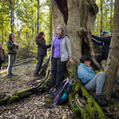 Anche ad Aosta la Giornata nazionale di 'Connessioni Naturali' Anche ad Aosta la Giornata nazionale di 'Connessioni Naturali'