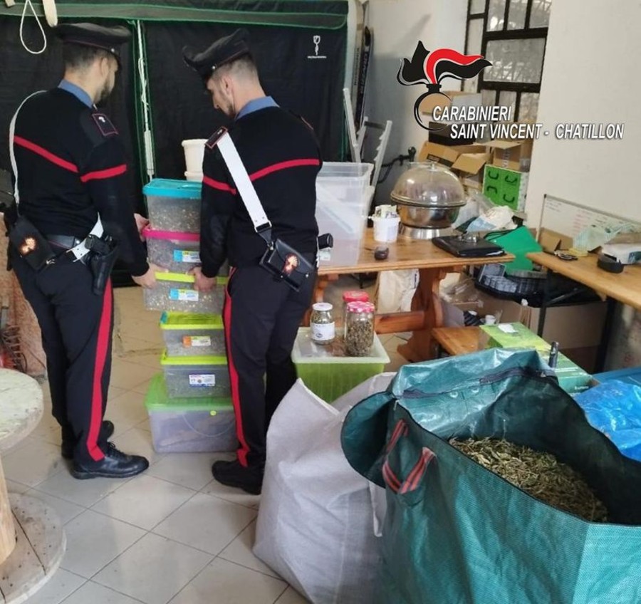 I carabinieri durante una fase del sequestro e, nella foto all'interno dell'articolo, parte della marijuana sequestrata