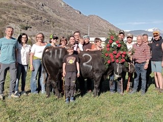 Champagne, reina di Terza categoria