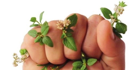 Sostenibilità ancora troppo cara; prezzi, truffe e scarsa informazione frenano i consumatori Sostenibilità ancora troppo cara; prezzi, truffe e scarsa informazione frenano i consumatori