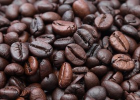 Il caffè; dai natali etiopi al bouquet da cui sbocciarono le più estese piantagioni
