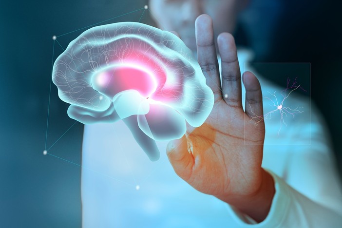 Il cervello scompone i gesti