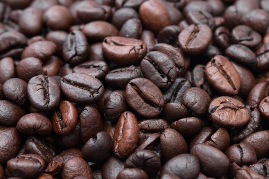 Il caffè; dai natali etiopi al bouquet da cui sbocciarono le più estese piantagioni Il caffè; dai natali etiopi al bouquet da cui sbocciarono le più estese piantagioni