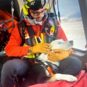 Soccorso snowboardista in difficoltà; valanga nella Valtournenche