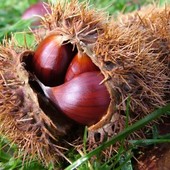 Weekend in Valle d’Aosta tra cultura, natura e tradizione