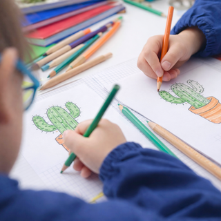 Cinema a scuola, la Valle tra i territori più coinvolti da Cactus Edu