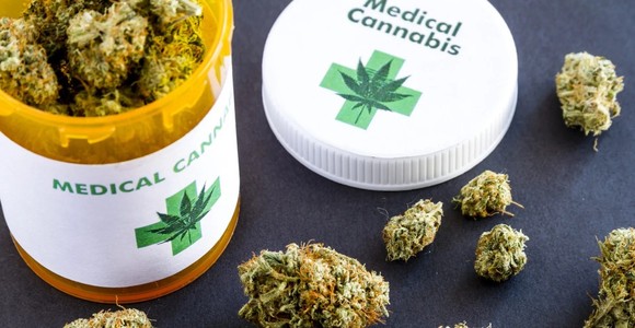 Coltivava cannabis light divenuta 'illegale'; valdostano a processo come fosse uno spacciatore