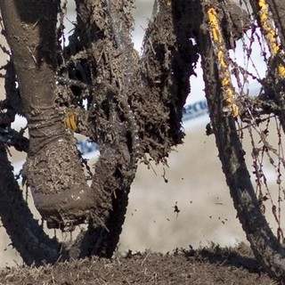 Ciclocross, Aurora Lecca vince a Aqui Terme