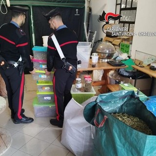 I carabinieri durante una fase del sequestro e, nella foto all'interno dell'articolo, parte della marijuana sequestrata