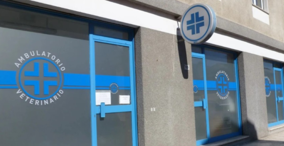 Cane morto dopo la sedazione, il Centro Veterinario di Nus ricostruisce i fatti e spiega cosa è accaduto prima dell' ingresso in canile